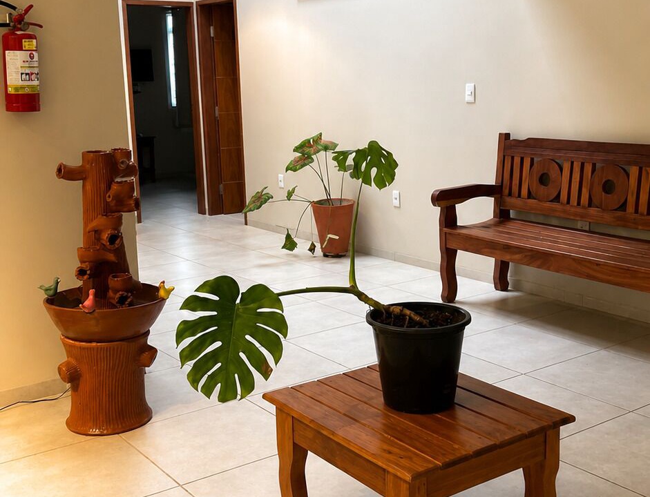 Photo of Others in Vicosa do Ceara