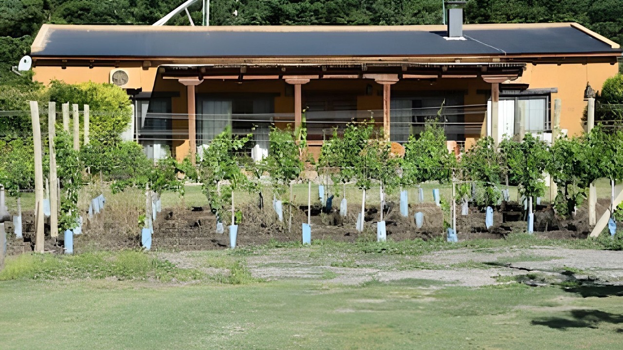 Photo of Outdoor in Tunuyan
