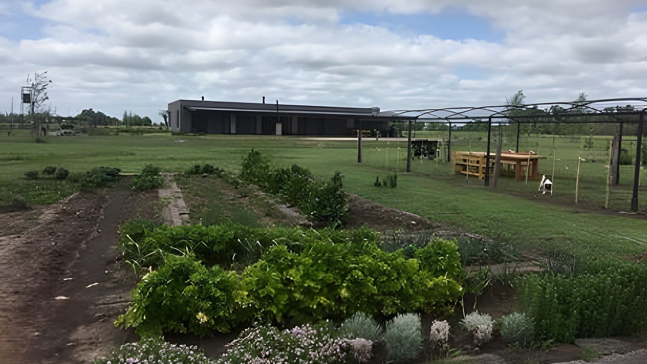Photo of Outdoor in Lobos