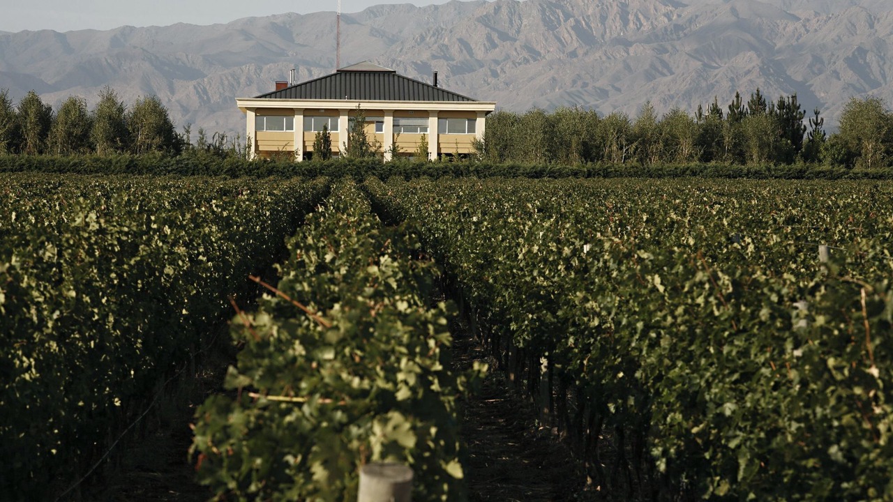 Photo of Outdoor in Vista Flores