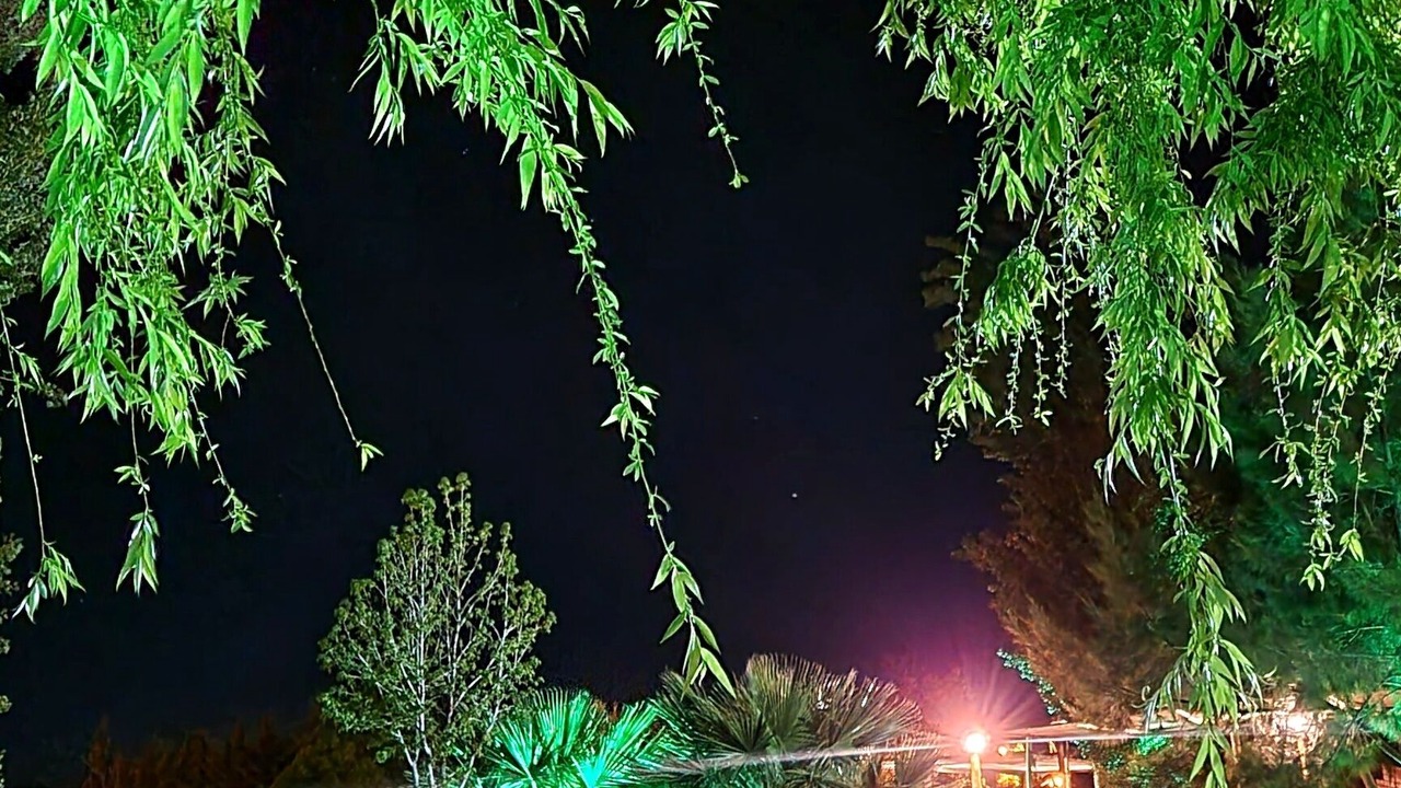 Photo of Outdoor in Chilecito
