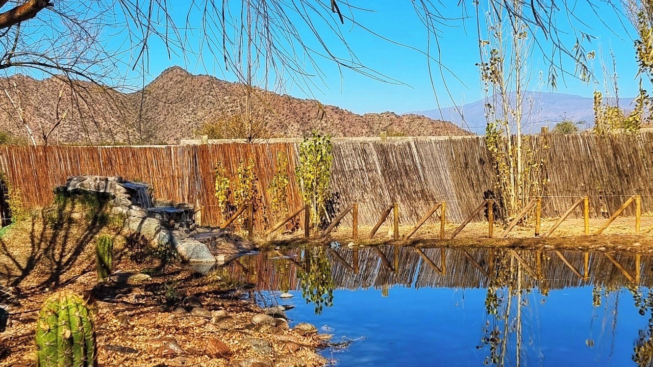 Photo of Outdoor in Chilecito