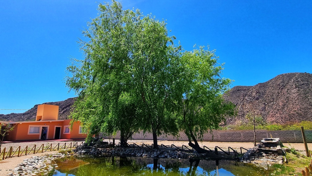 Photo of Outdoor in Chilecito