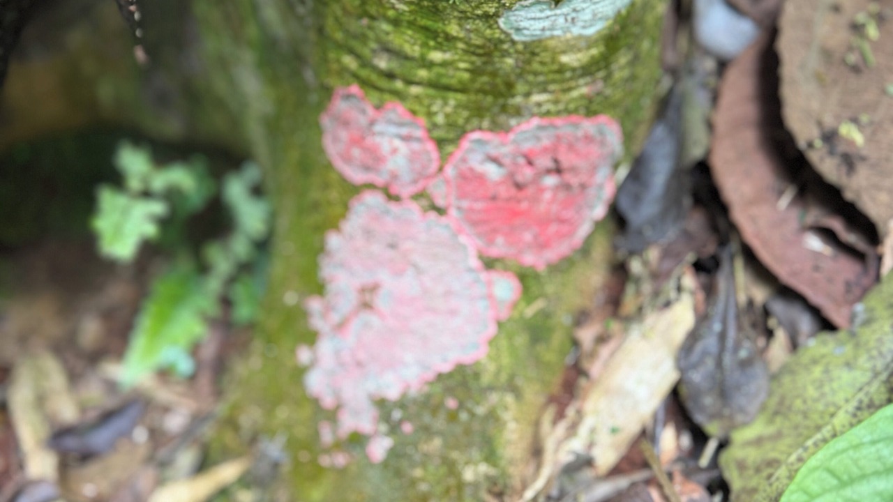 Photo of Outdoor in El Soberbio