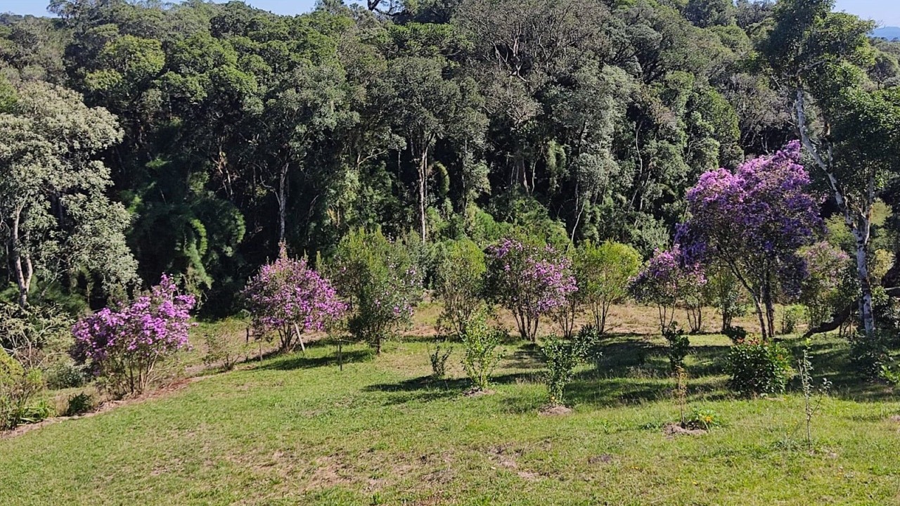 Photo of Outdoor in Rancho Queimado