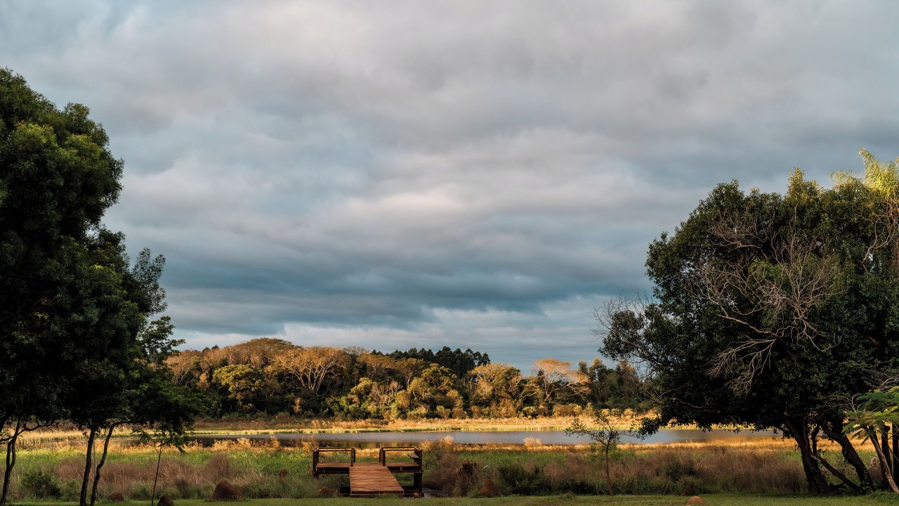 Photo of Outdoor in San Miguel