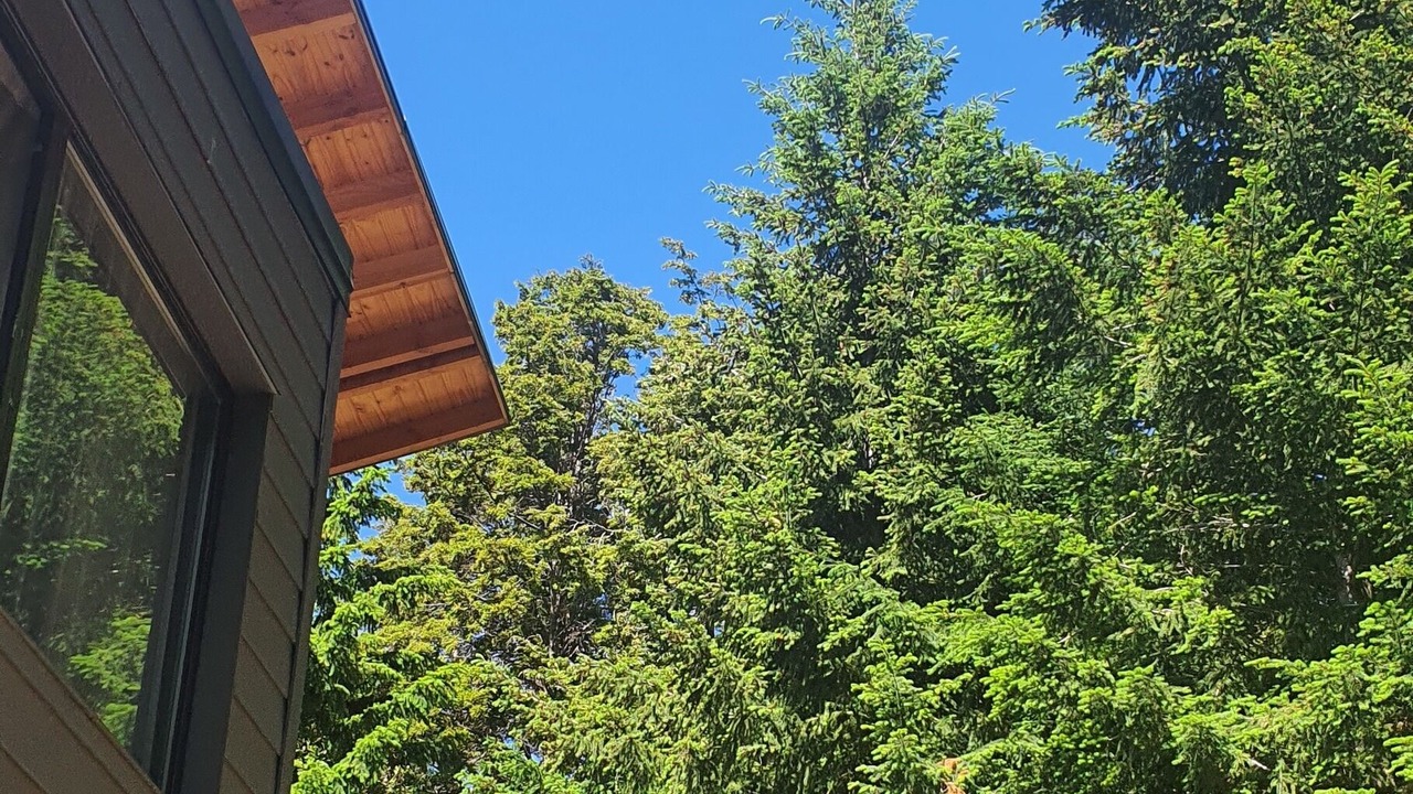 Photo of Outdoor in Puerto Manzano