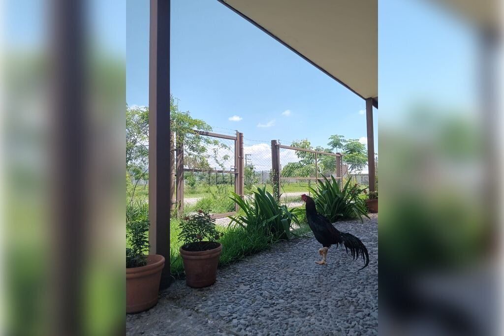 Photo of Outdoor in Campo Quijano