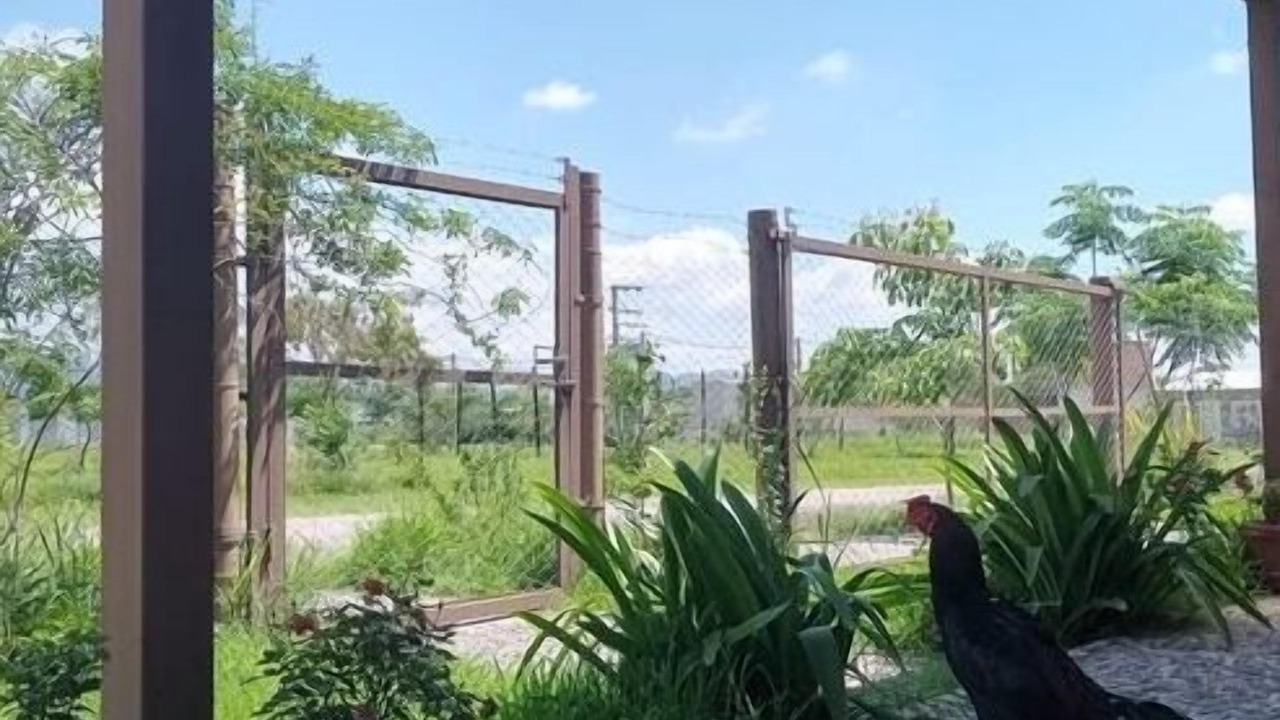 Photo of Outdoor in Campo Quijano