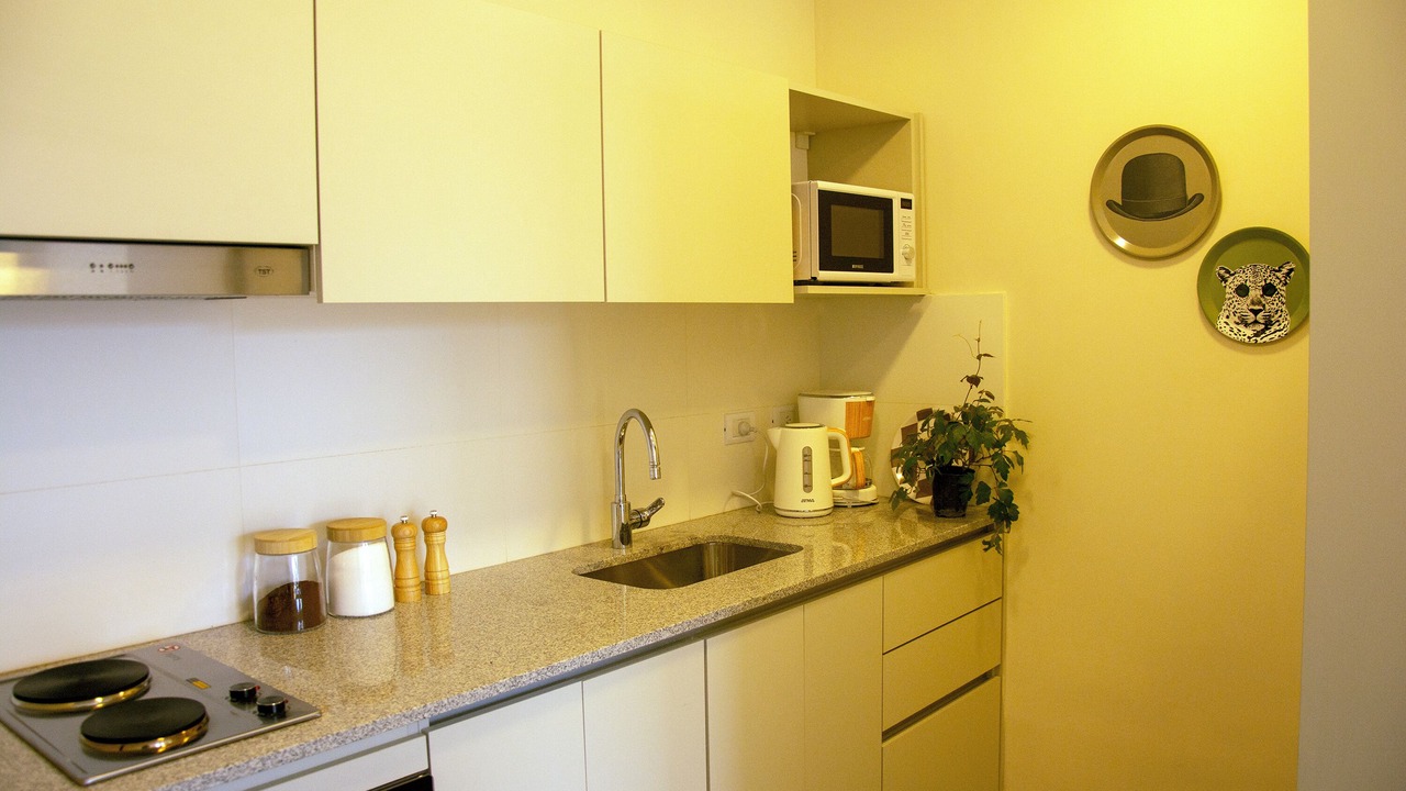Photo of Kitchen in Godoy Cruz