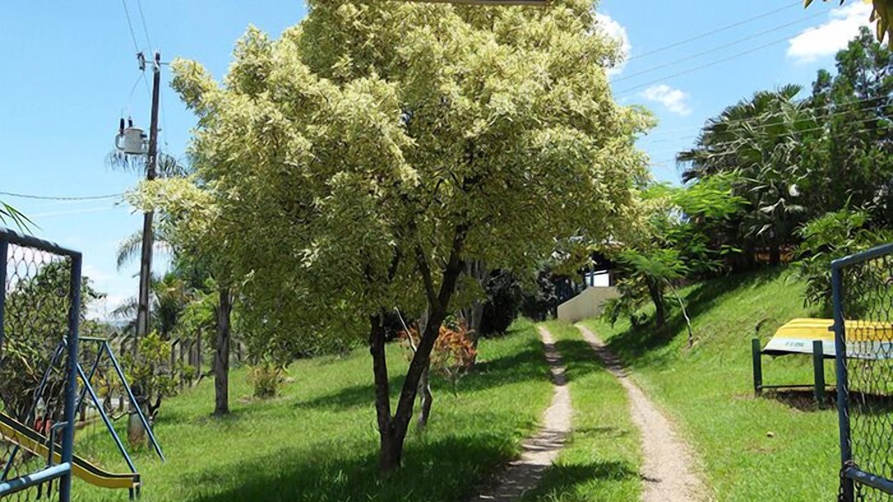 Photo of Outdoor in Areado