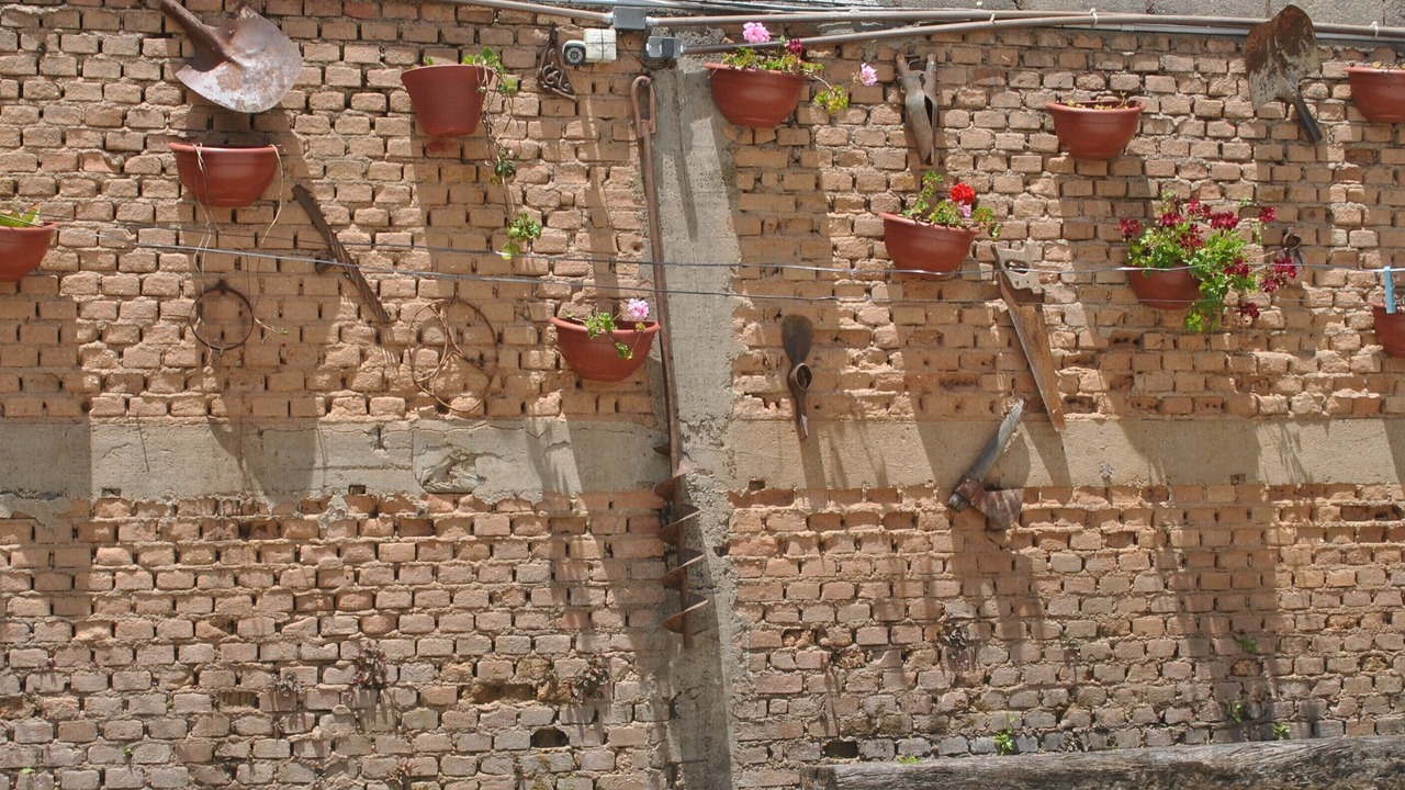 Photo of Outdoor in Jaguaribe