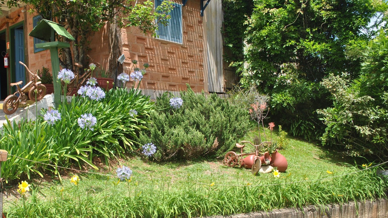 Photo of Outdoor in Jaguaribe