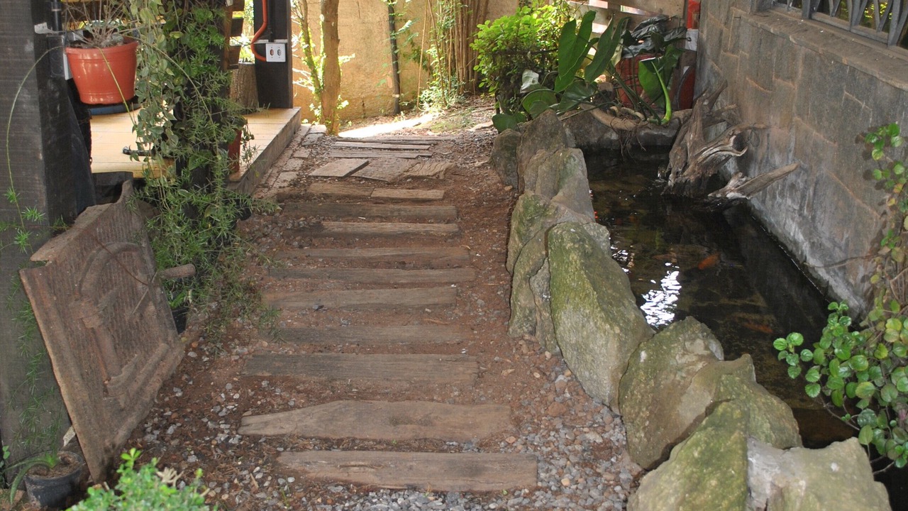 Photo of Outdoor in Jaguaribe