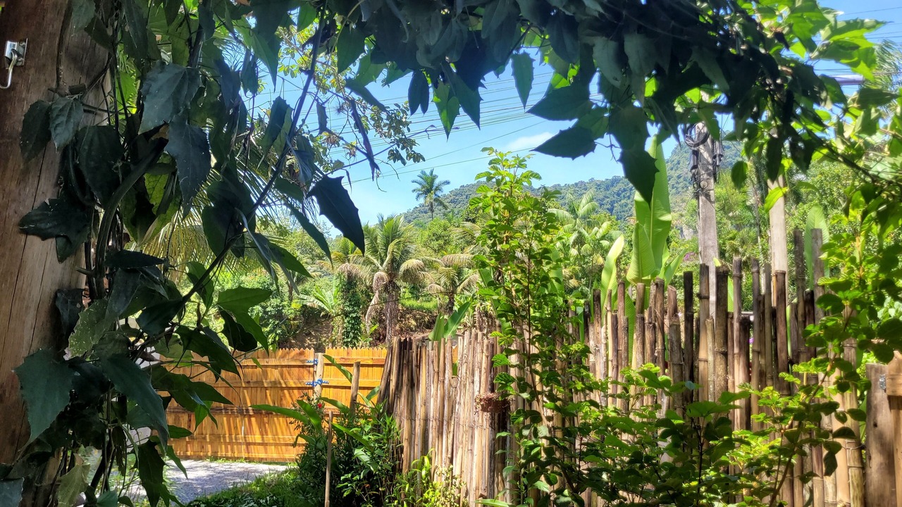 Photo of Outdoor in Mambucaba