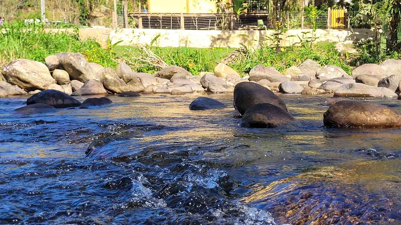 Photo of Outdoor in Mambucaba