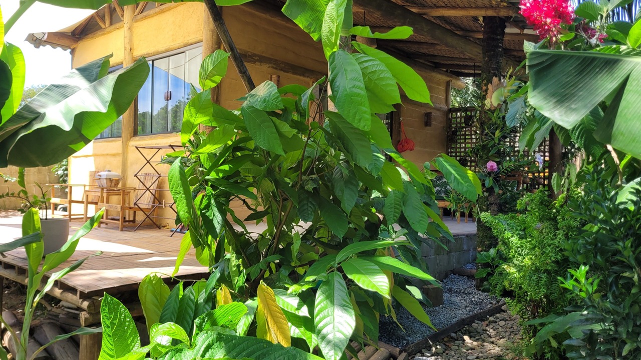 Photo of Outdoor in Mambucaba