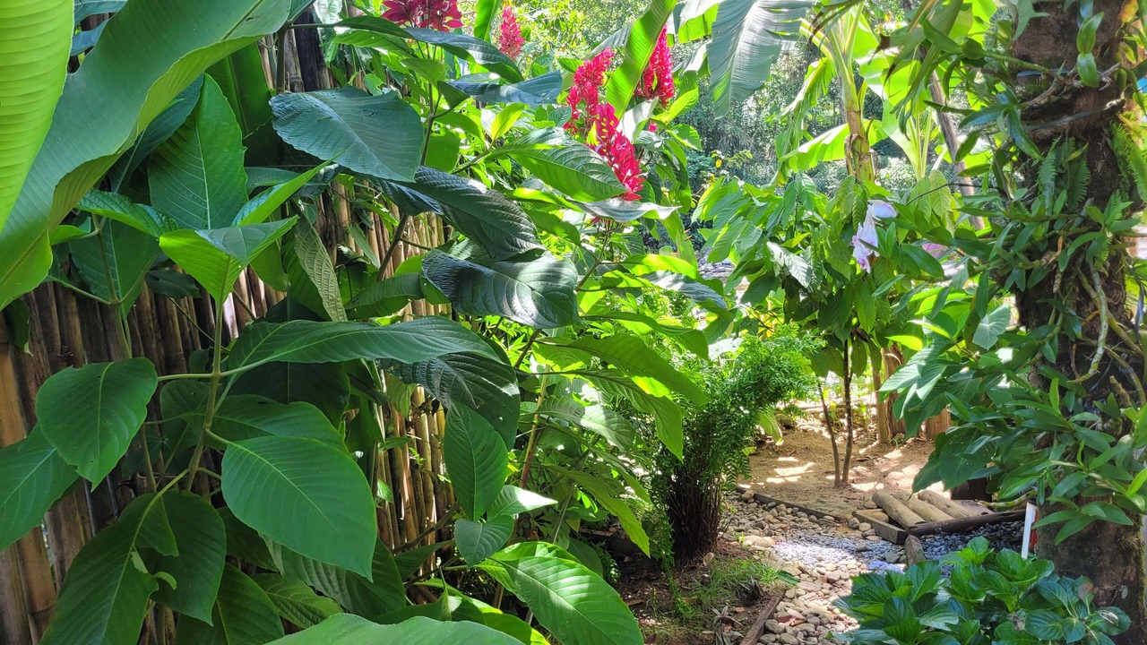 Photo of Outdoor in Mambucaba