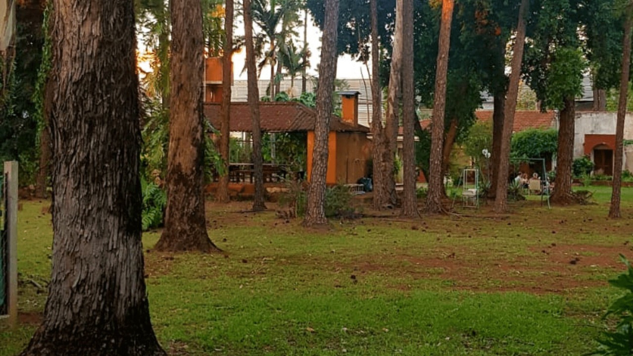 Photo of Outdoor in Posadas