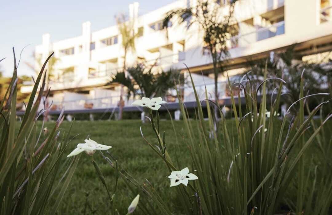 Photo of Outdoor in Las Gaviotas