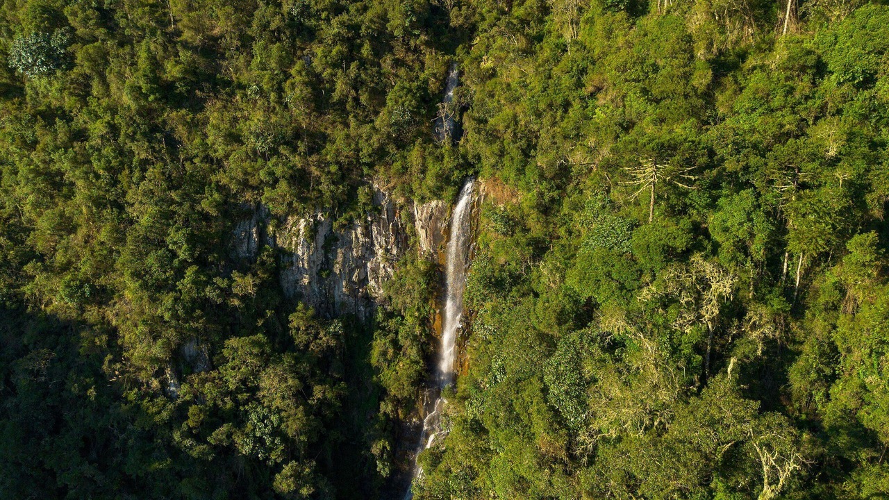 Photo of Outdoor in Urubici