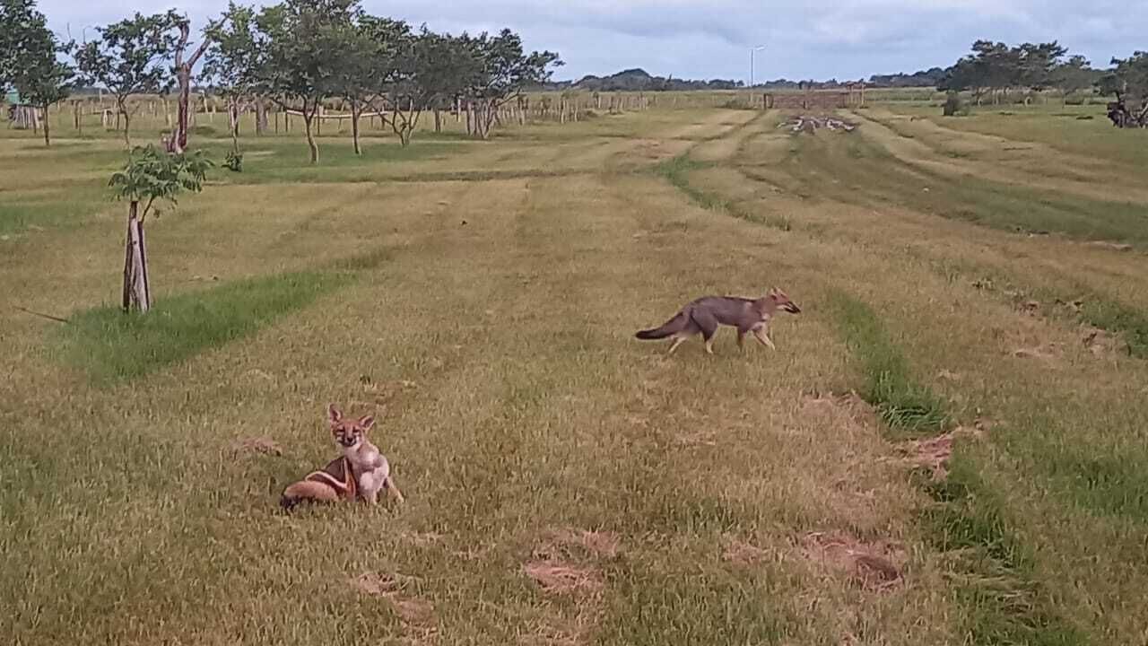 Photo of Outdoor in Ituzaingo