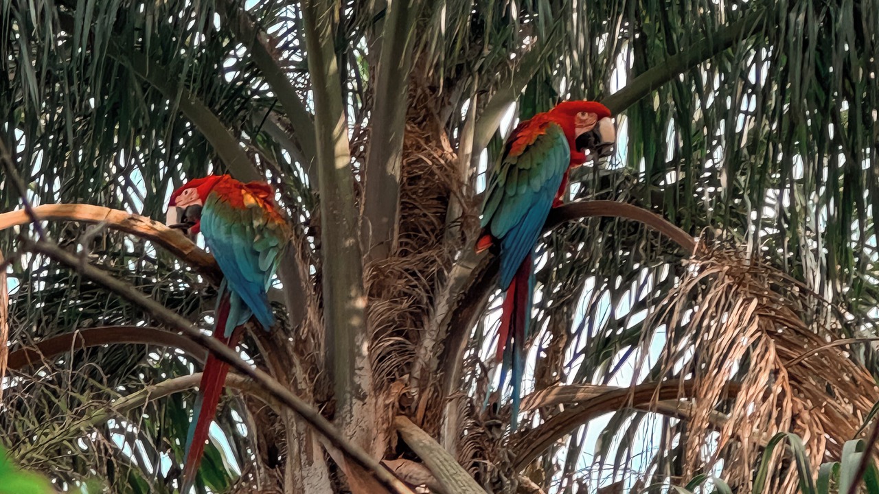 Photo of Outdoor in Ituzaingo