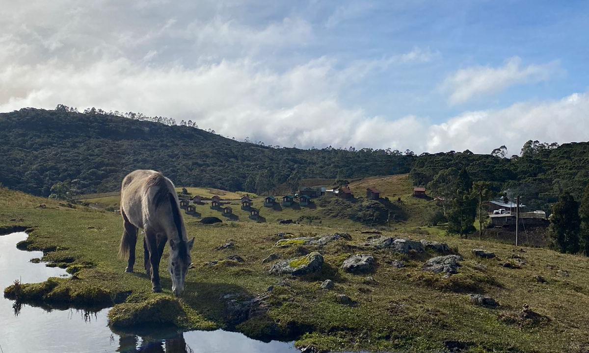 Photo of Others in Cambara do Sul