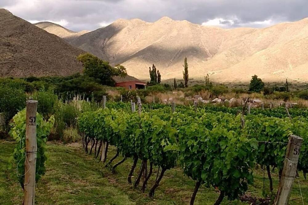 Photo of Outdoor in Cachi