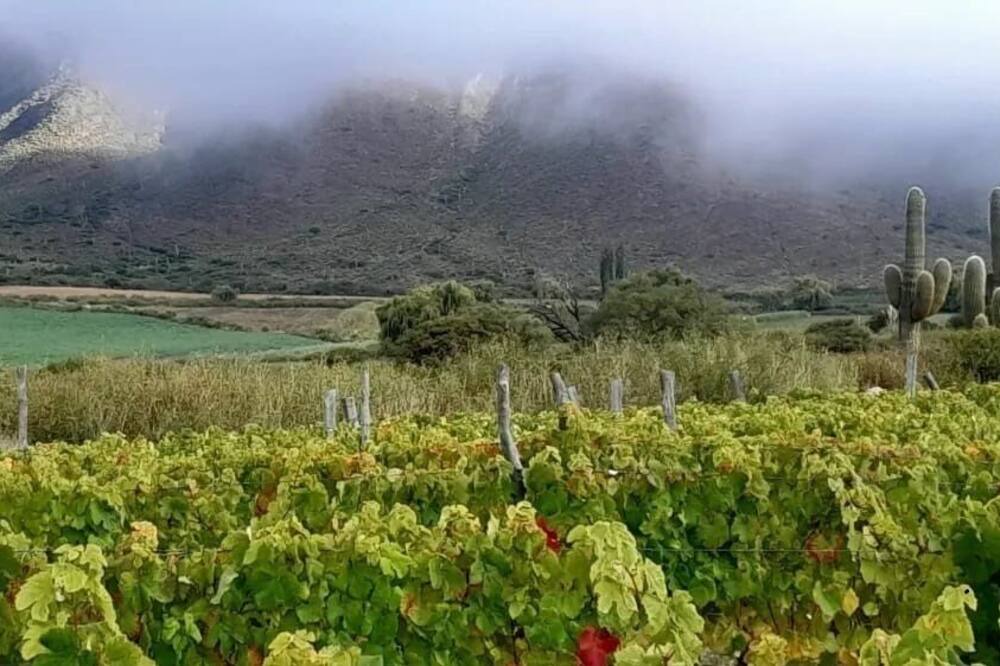 Photo of Outdoor in Cachi
