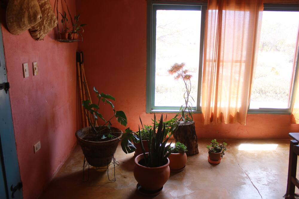 Photo of Others in Cachi