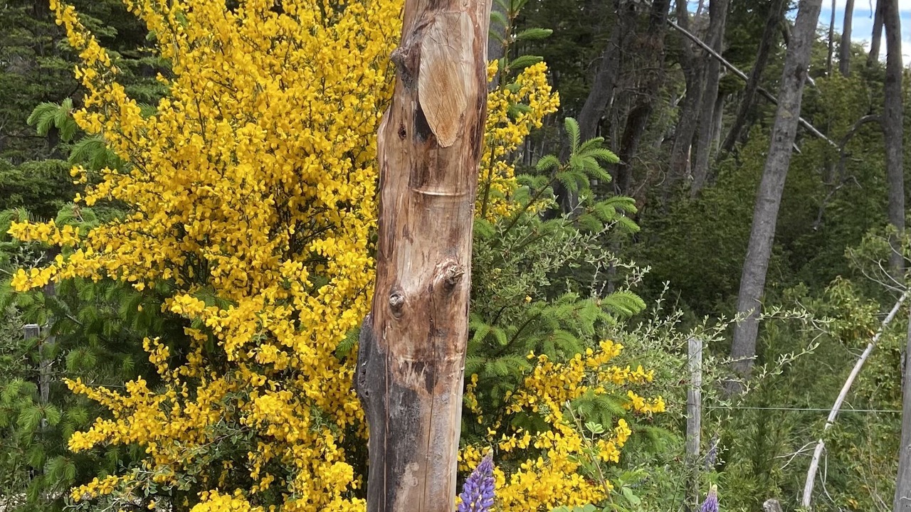 Photo of Outdoor in Angostura