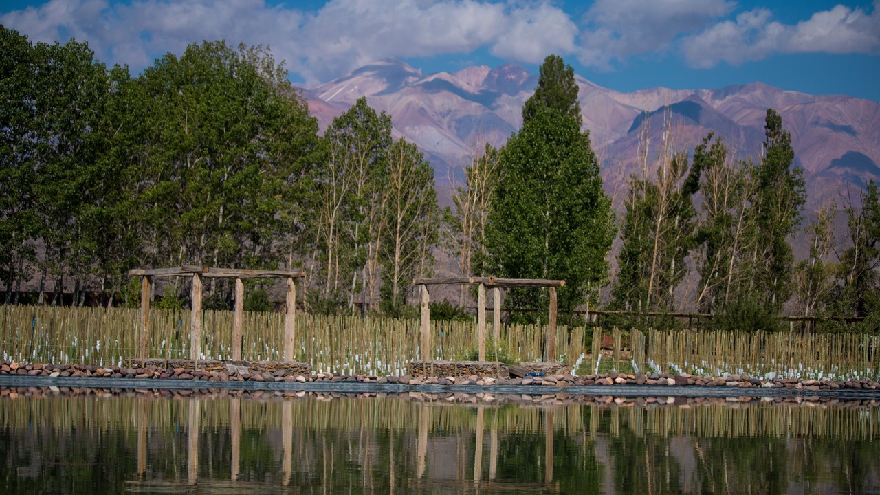 Photo of Outdoor in Uspallata