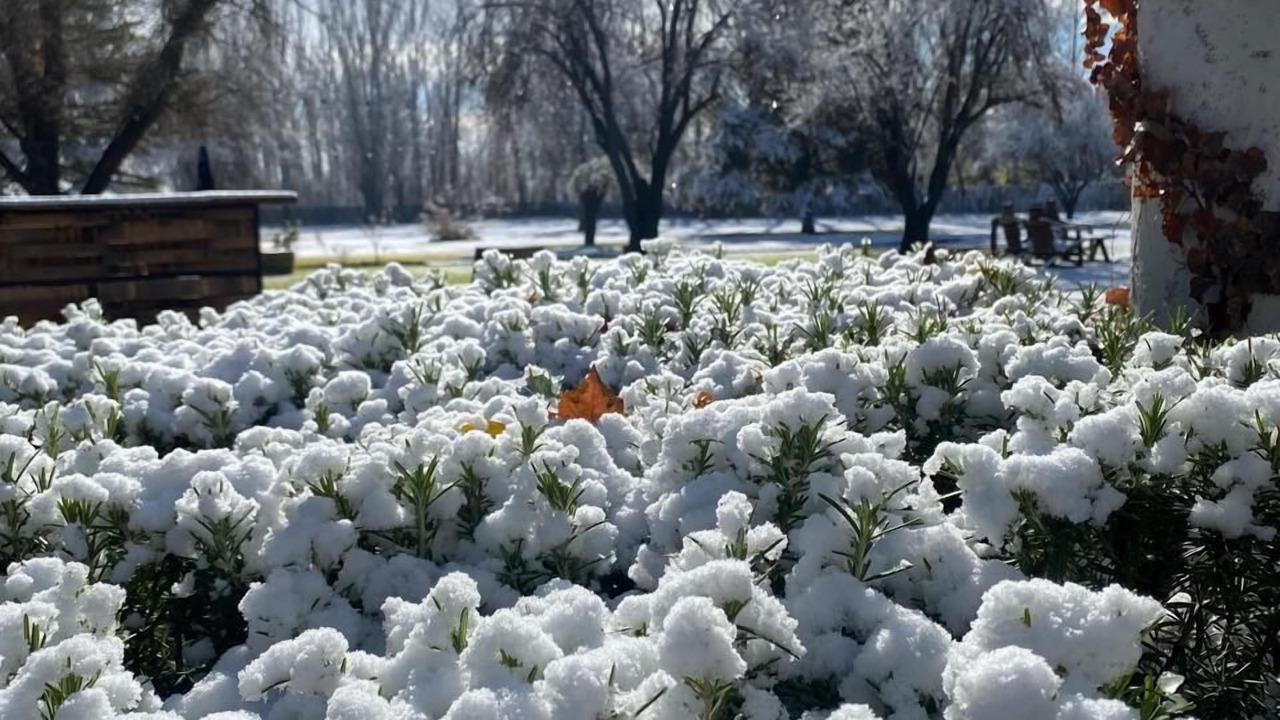 Photo of Outdoor in Eugenio Bustos
