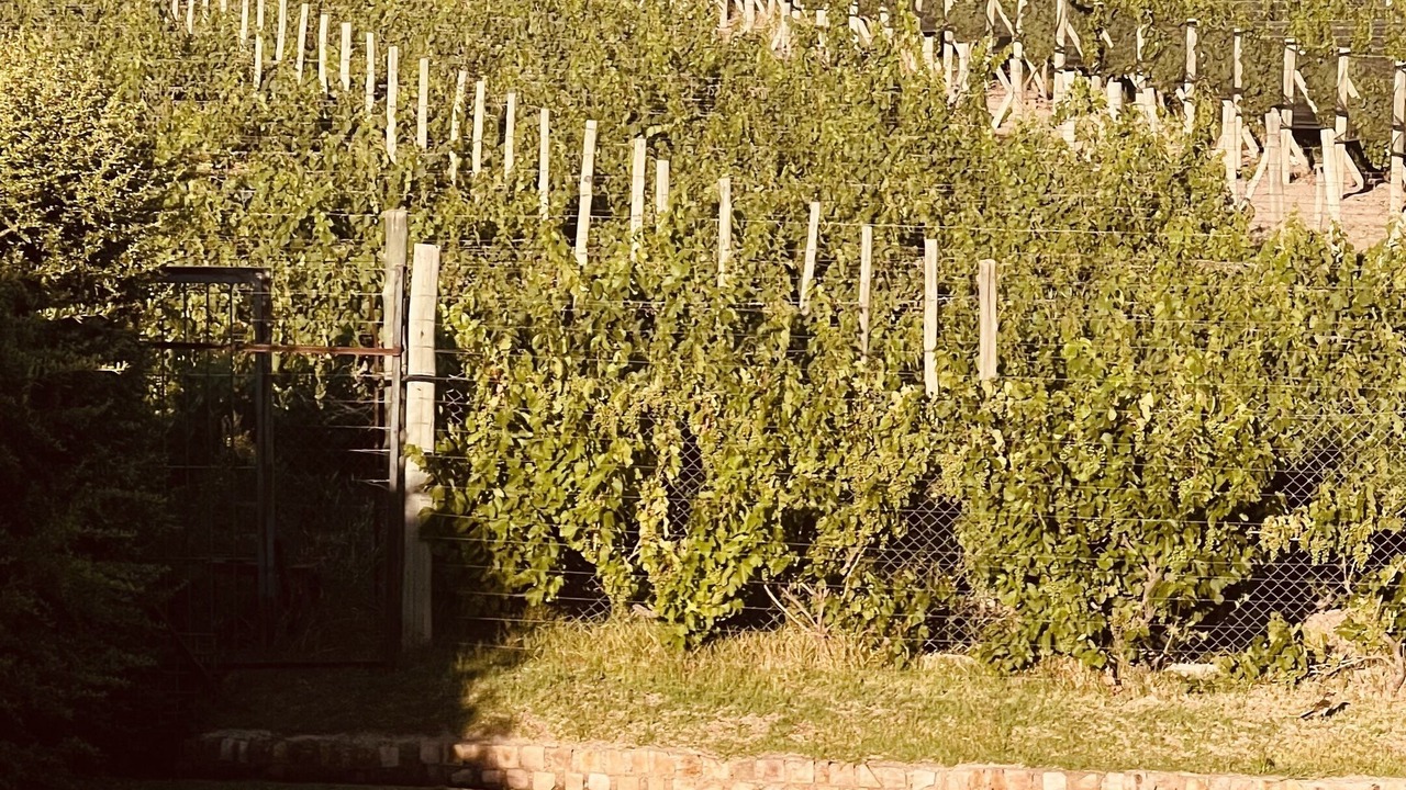 Photo of Outdoor in Chacras de Coria