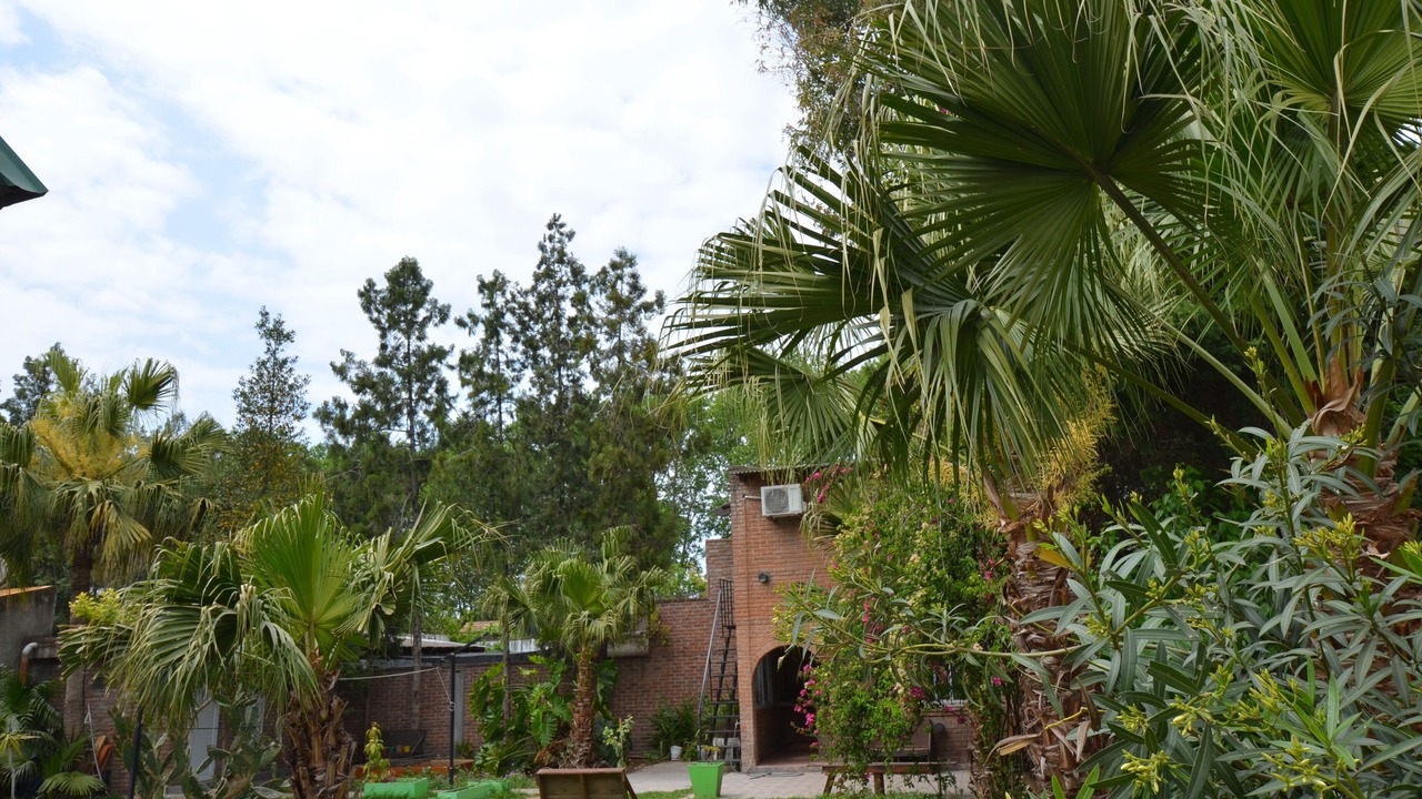Photo of Patio Balcony in El Jaguel