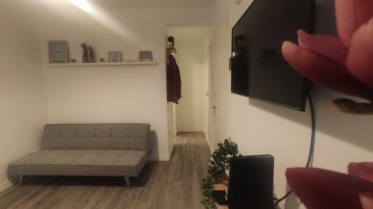 Photo of Livingroom in Caballito