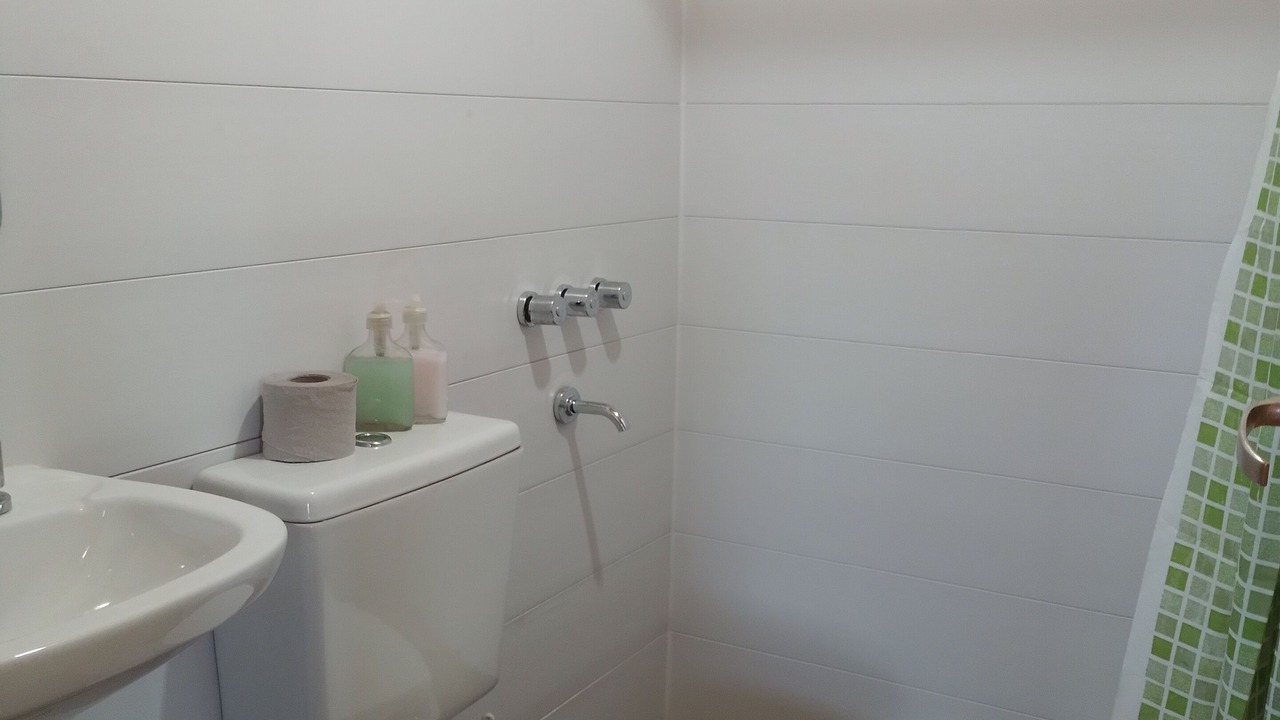 Photo of Bathroom in Chajari