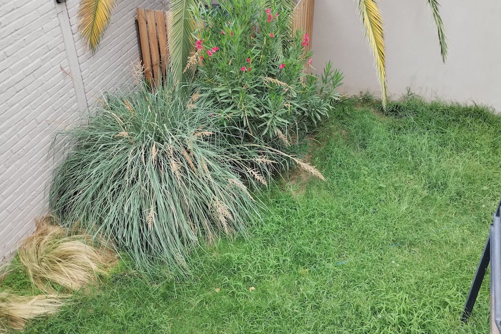 Photo of Outdoor in Maipu