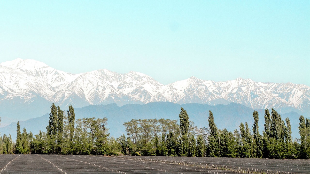 Photo of Outdoor in Lujan de Cuyo