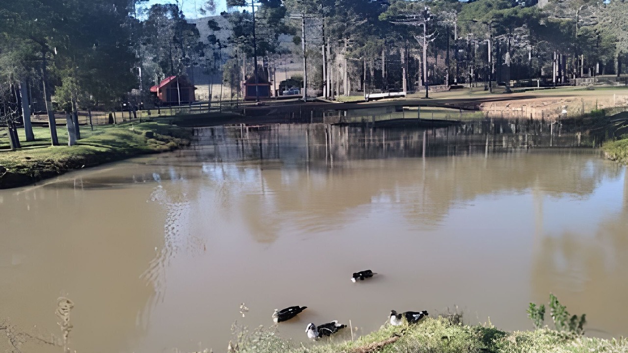 Photo of Others in Sao Joaquim
