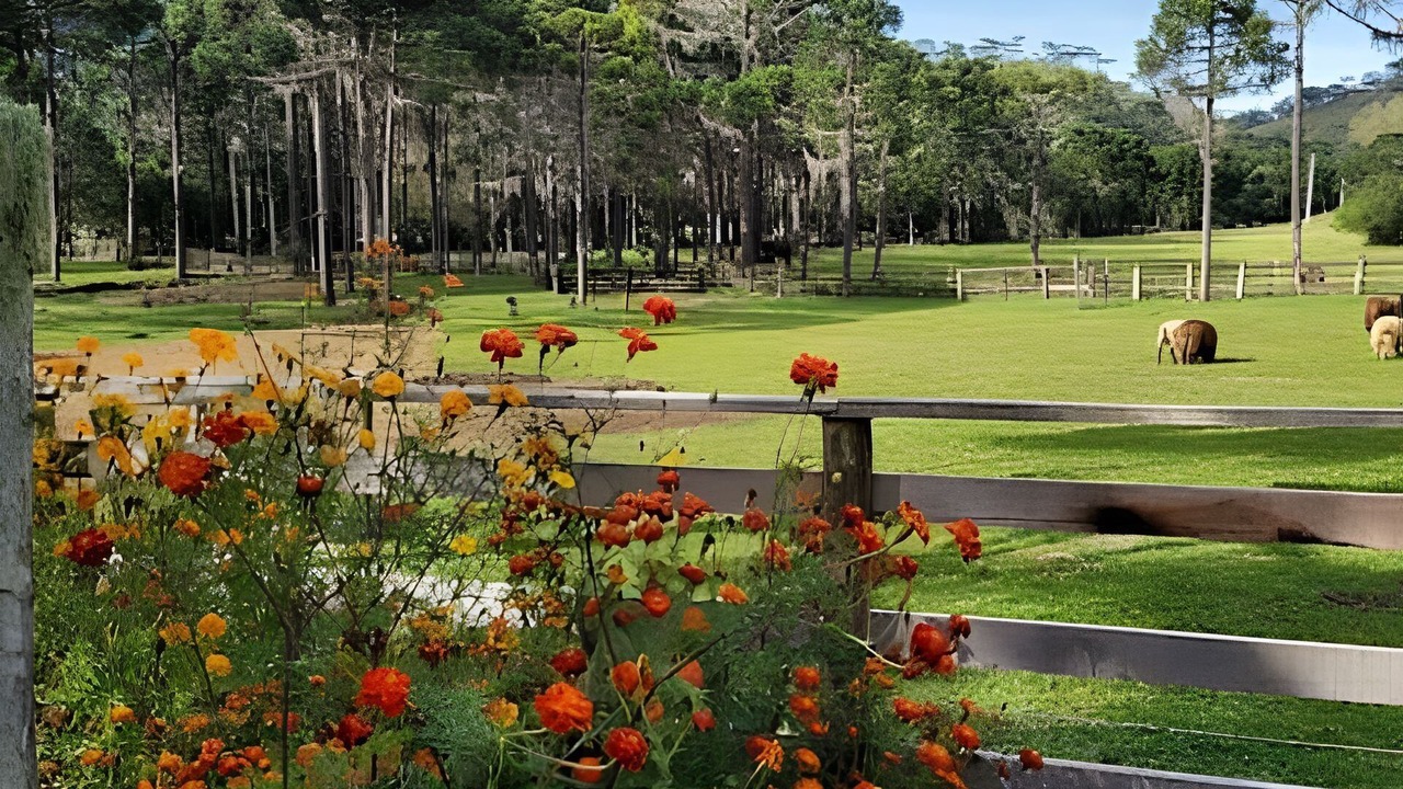 Photo of Outdoor in Sao Joaquim