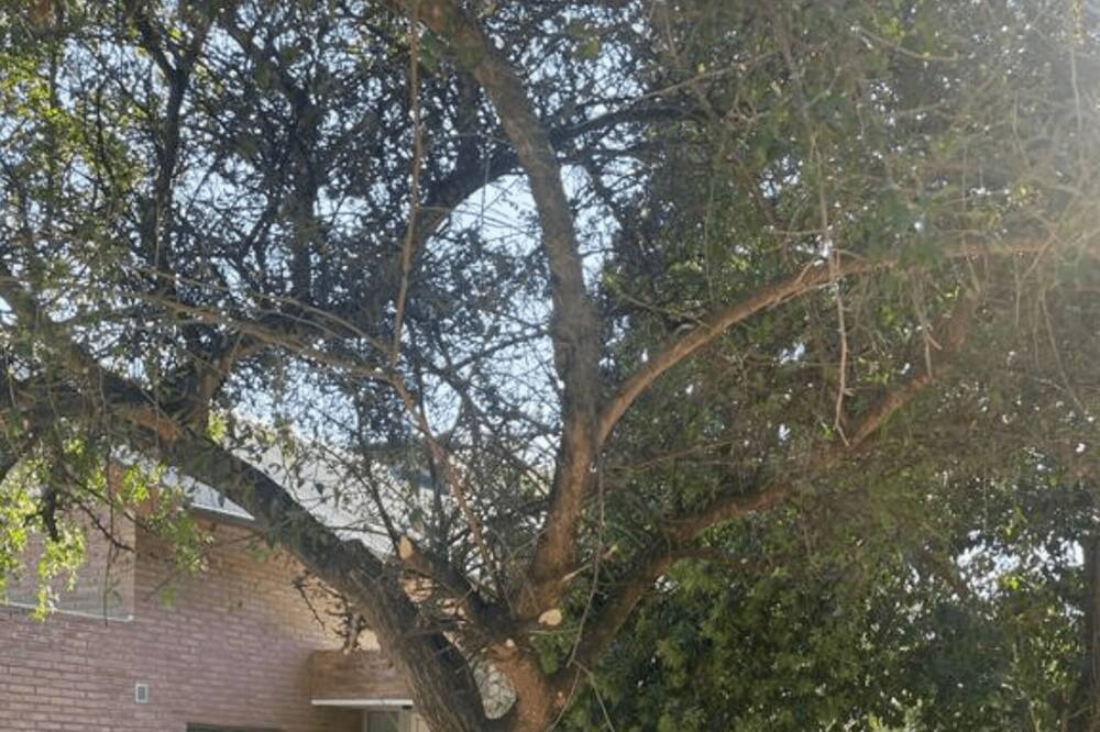 Photo of Outdoor in Villa General Belgrano