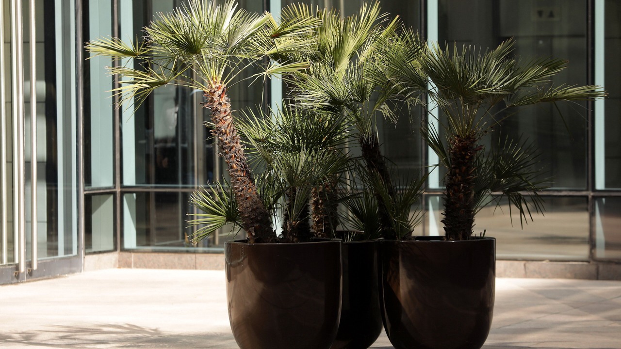 Photo of Outdoor in Historic Center