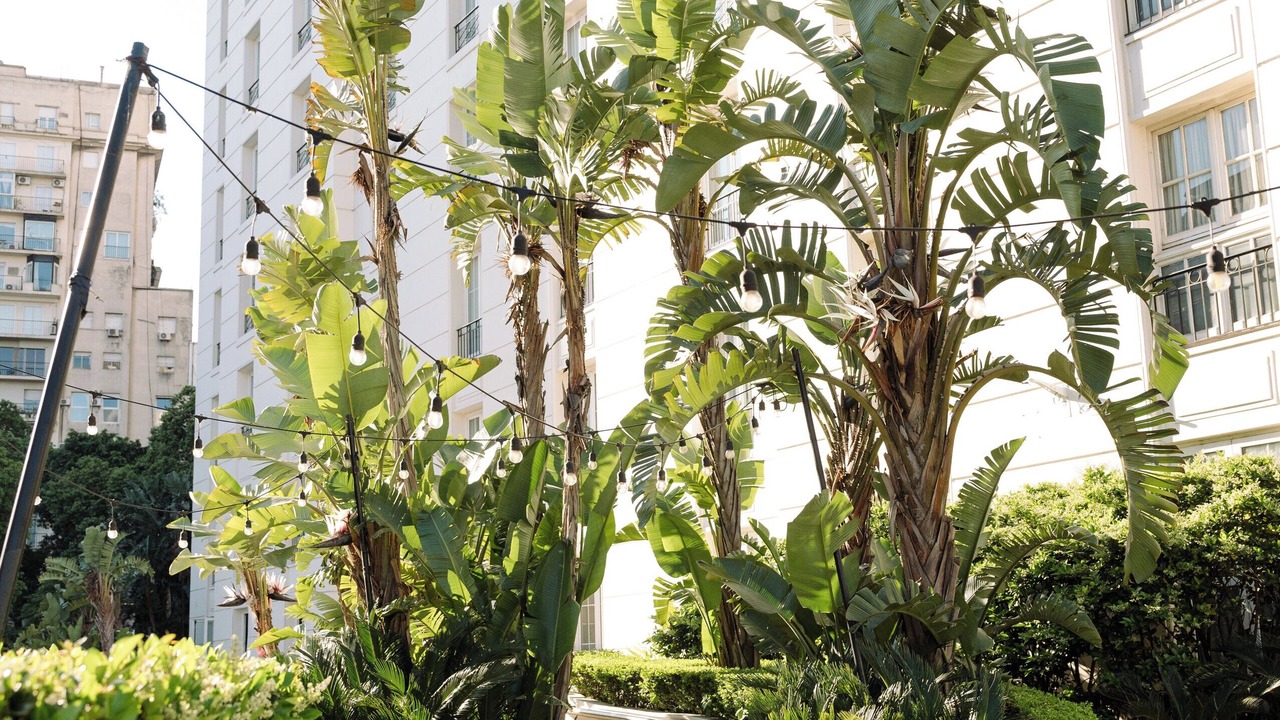Photo of Outdoor in Recoleta