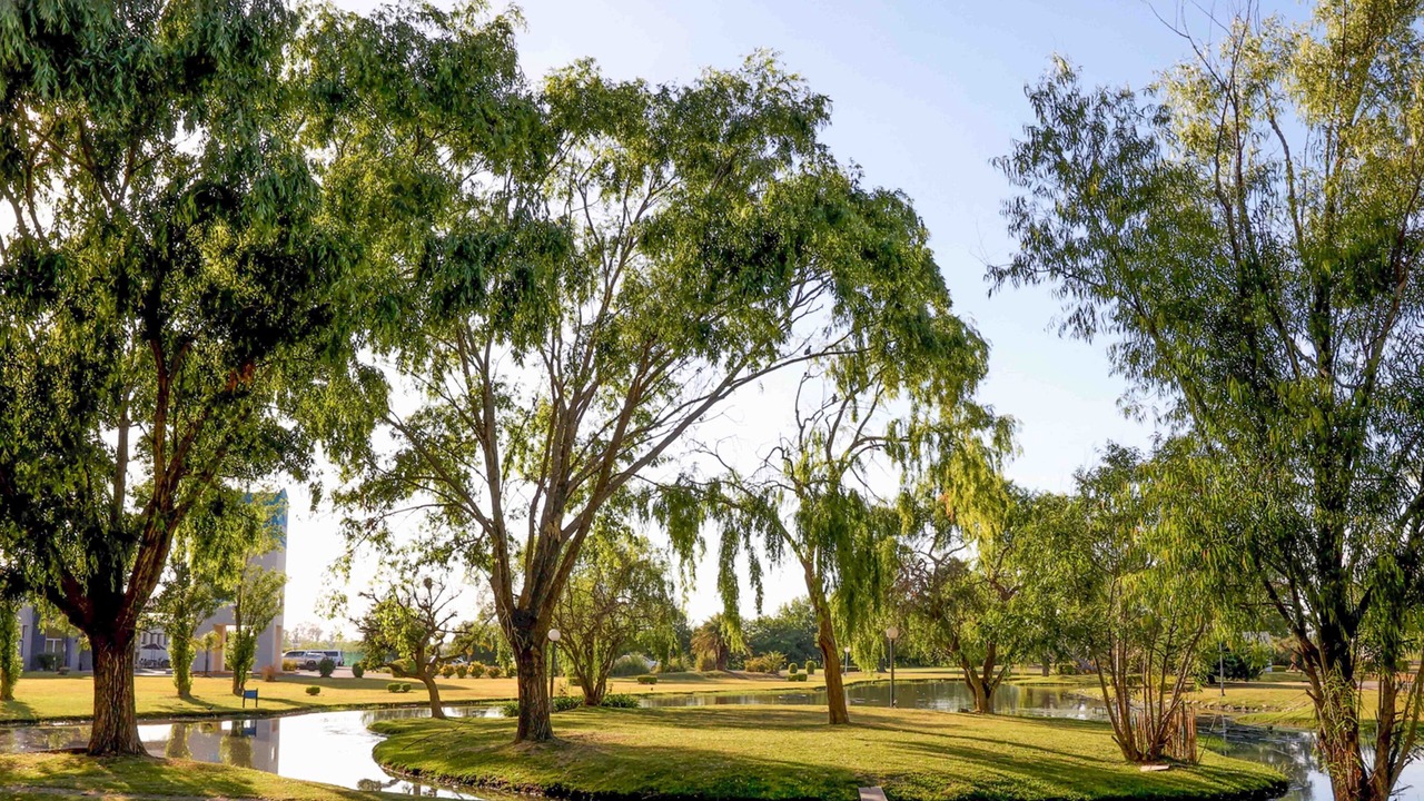 Photo of Outdoor in Campana