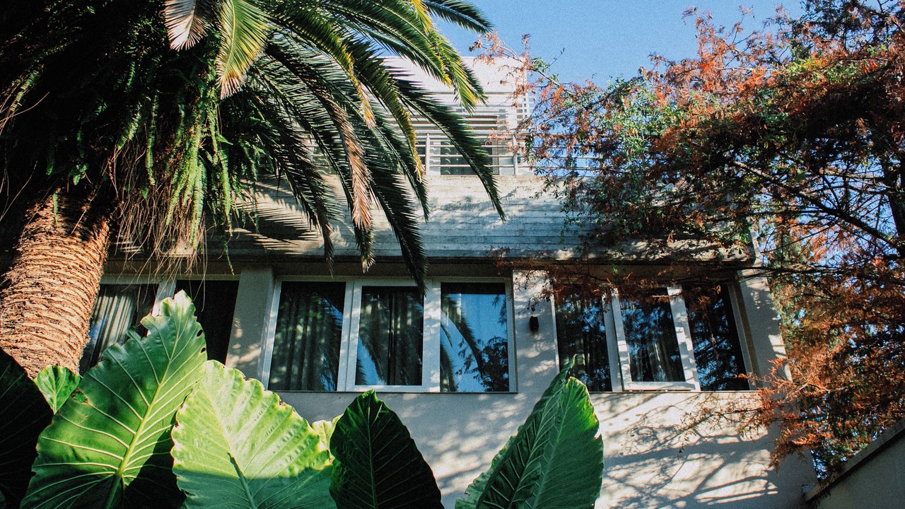 Photo of Outdoor in Yerba Buena