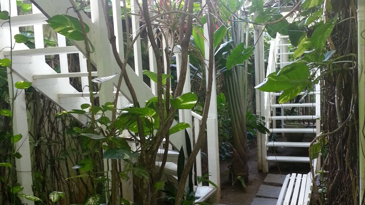 Photo of Outdoor in Barra