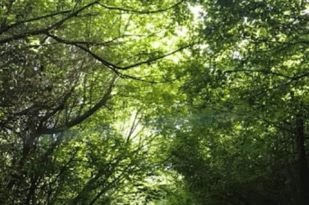 Photo of Outdoor in Rio Ceballos