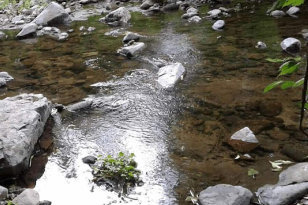 Photo of Others in Rio Ceballos